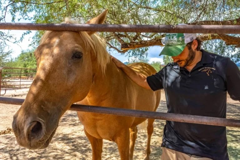 Montare Behavioral Health Locations in Arizona and California